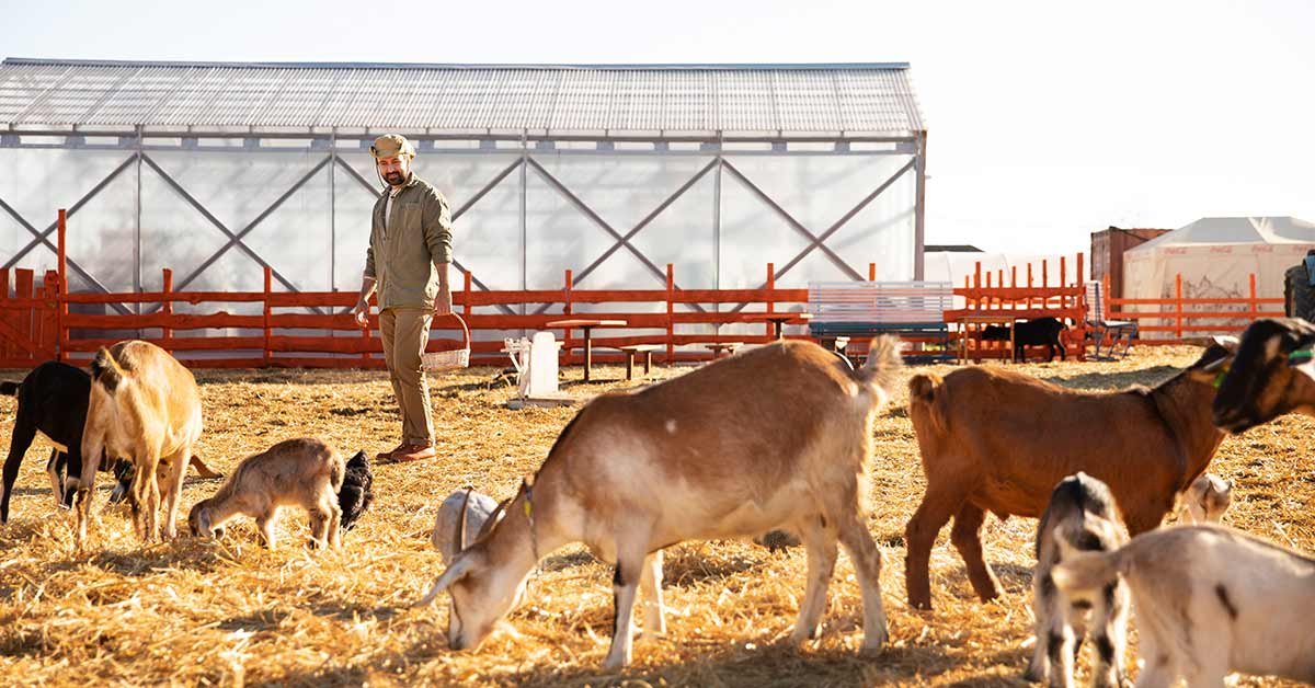 Meet Local Farmers Behind Every Harvest and Honest Product